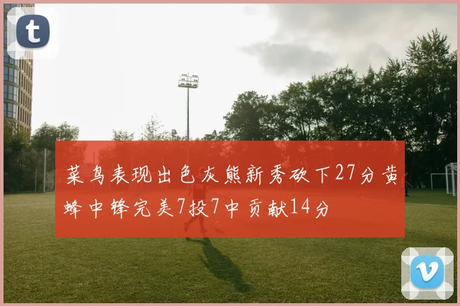 菜鸟表现出色灰熊新秀砍下27分黄蜂中锋完美7投7中贡献14分